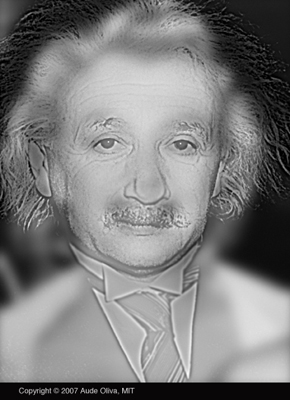 Illusion d'optique artistique Monroe Einstein