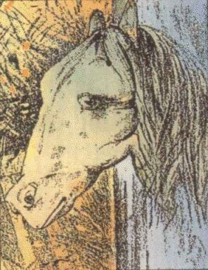 Illusion optique n�15 - Cheval ou grenouille?