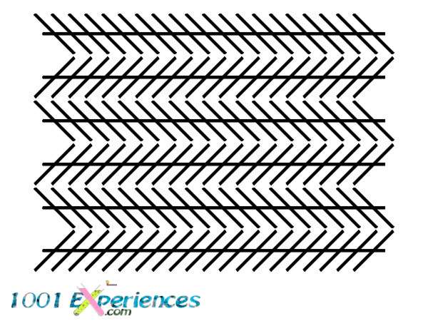 Illusion optique de droites parall�les