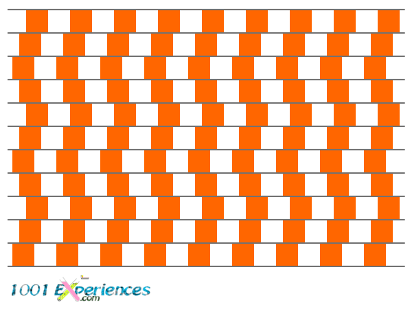 Illusion optique de lignes droites et parall�les