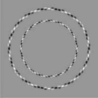 Illusion d'optique  - Cercles parfaits ou déformés?
