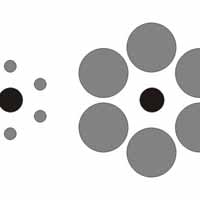 Illusion d'optique géométrique - Quel est le plus gros?