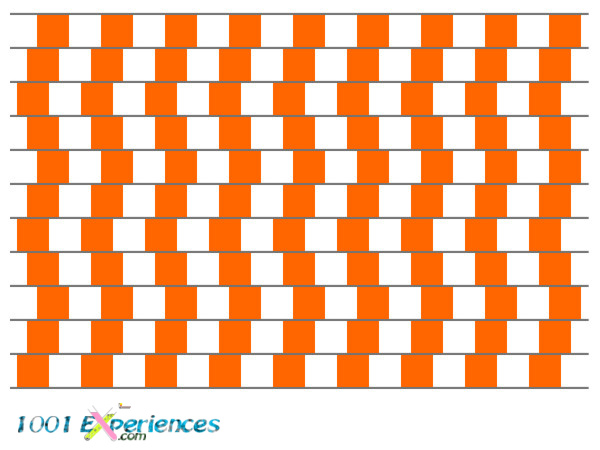 Illusion d'optique géométrique d'un damier