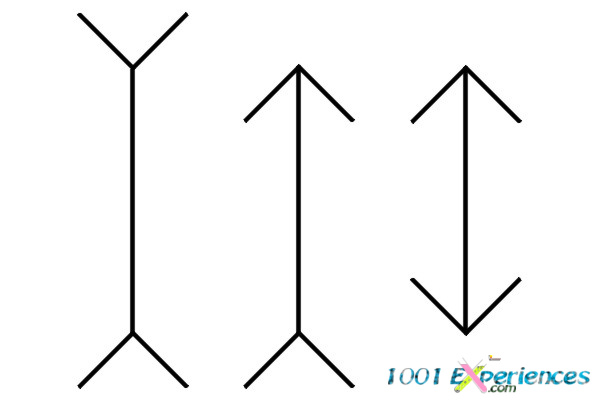 Illusion d'optique géométrique  de droites verticales