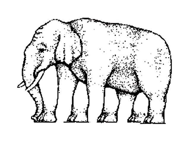 Illusion optique artistique éléphant