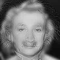 Illusion d'optique artistique - Marilyn Monroe ou Albert Einstein?