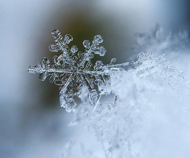 Un flocon de neige Un flocon de neige