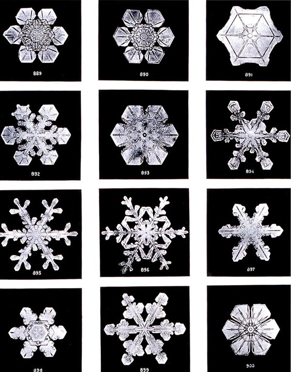 Différentes formes de flocons de neige Différentes formes de flocons de neige