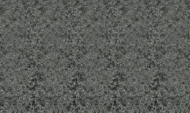 Stéréogramme 3d d'une chauve-souris