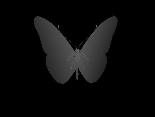 Image 3D d'un papillon